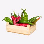Pepper Box